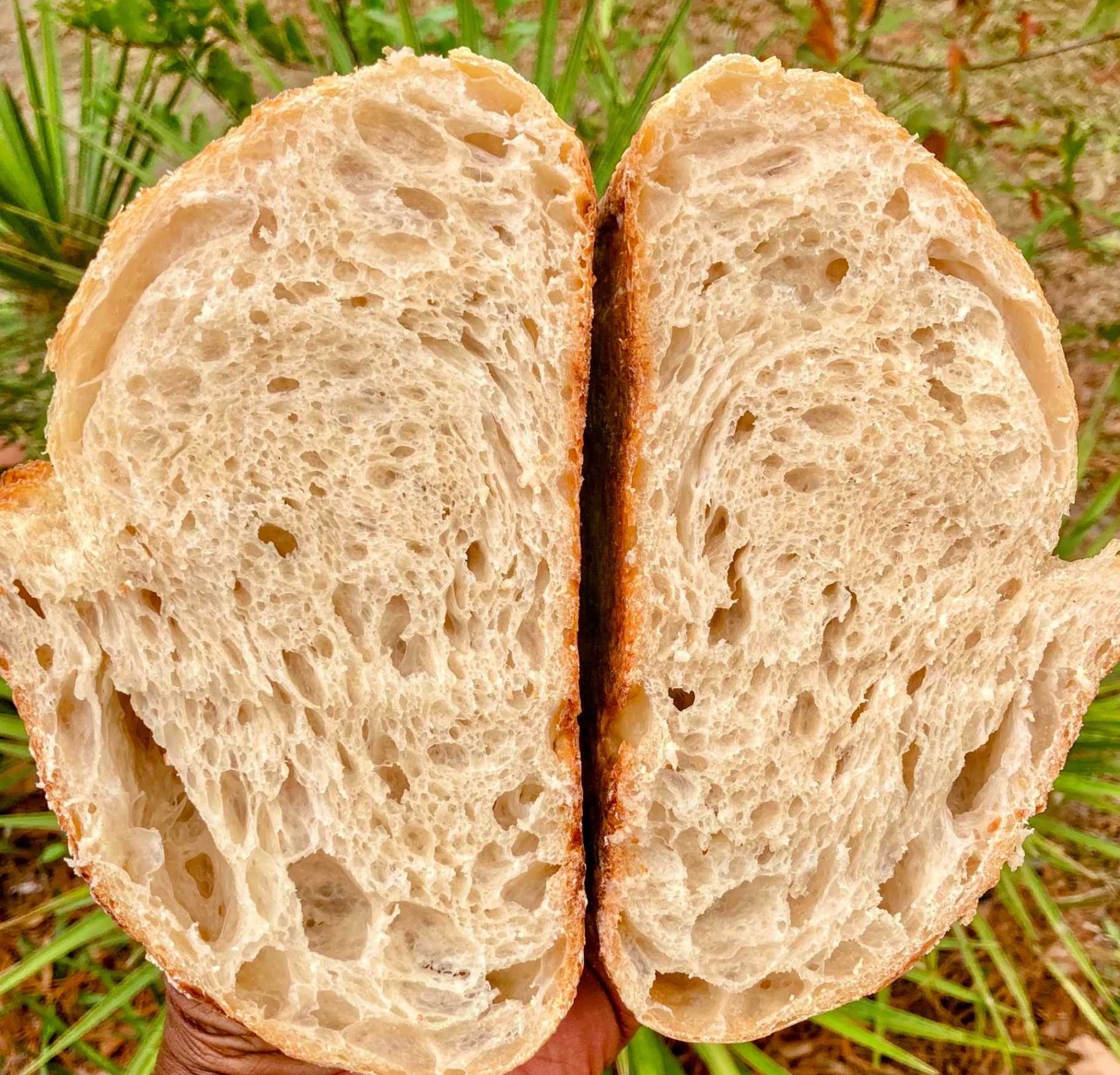 Henry's Foolproof Sourdough Loaf with perfect crumb structure
