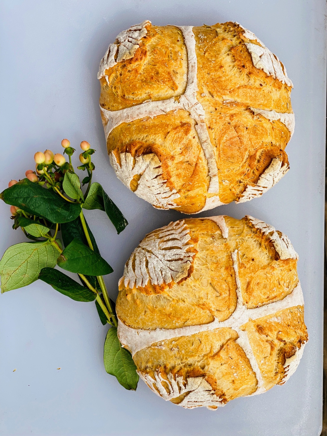 Two golden sourdough loaves baked with Vitale starter